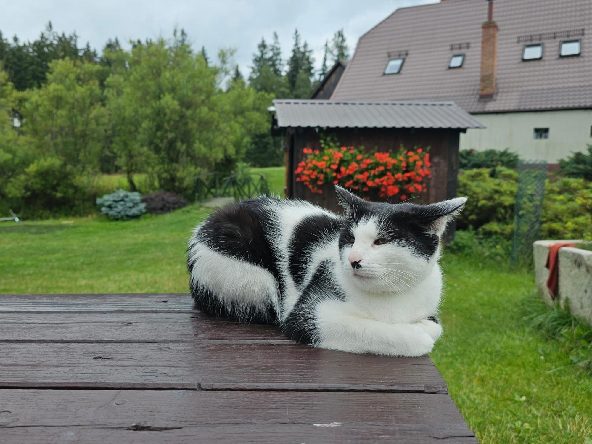 Вилла Osmelakowa Dolina Spalona Экстерьер фото